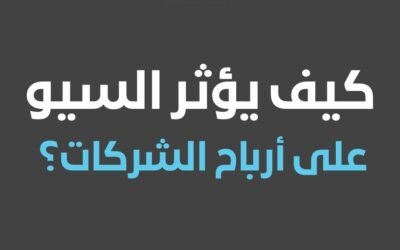 كيف يؤثر تحسين محركات البحث على أرباح الشركة؟