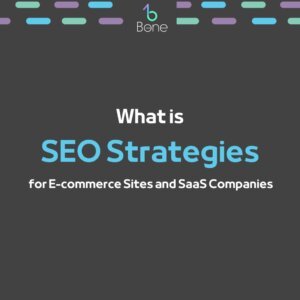 SEO Strategies SEO Strategies for SaaS Companies SEO Strategies for Ecommerce Sites
