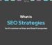 SEO Strategies SEO Strategies for SaaS Companies SEO Strategies for Ecommerce Sites