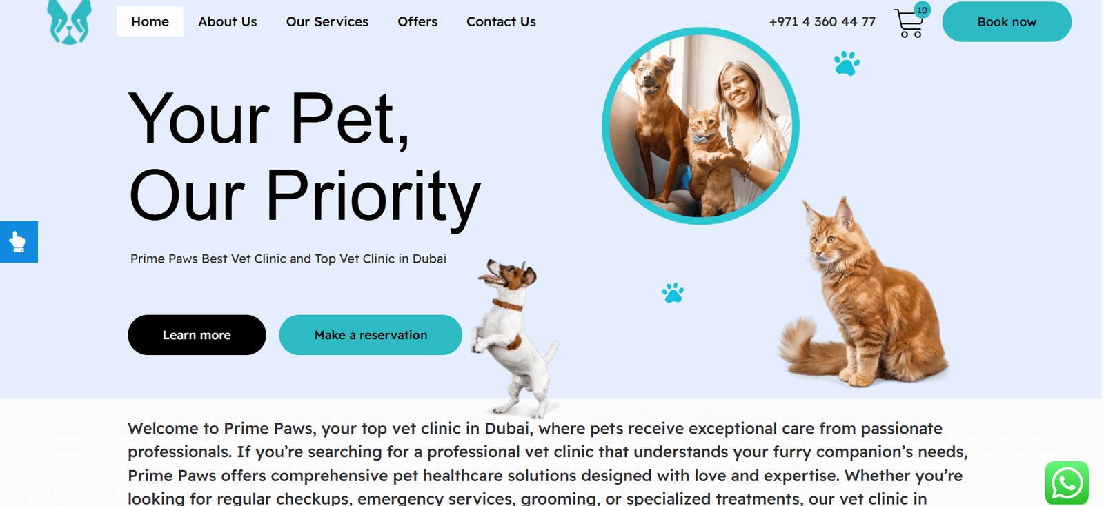 Best SEO Agency in Egypt Best SEO Agency in Egypt