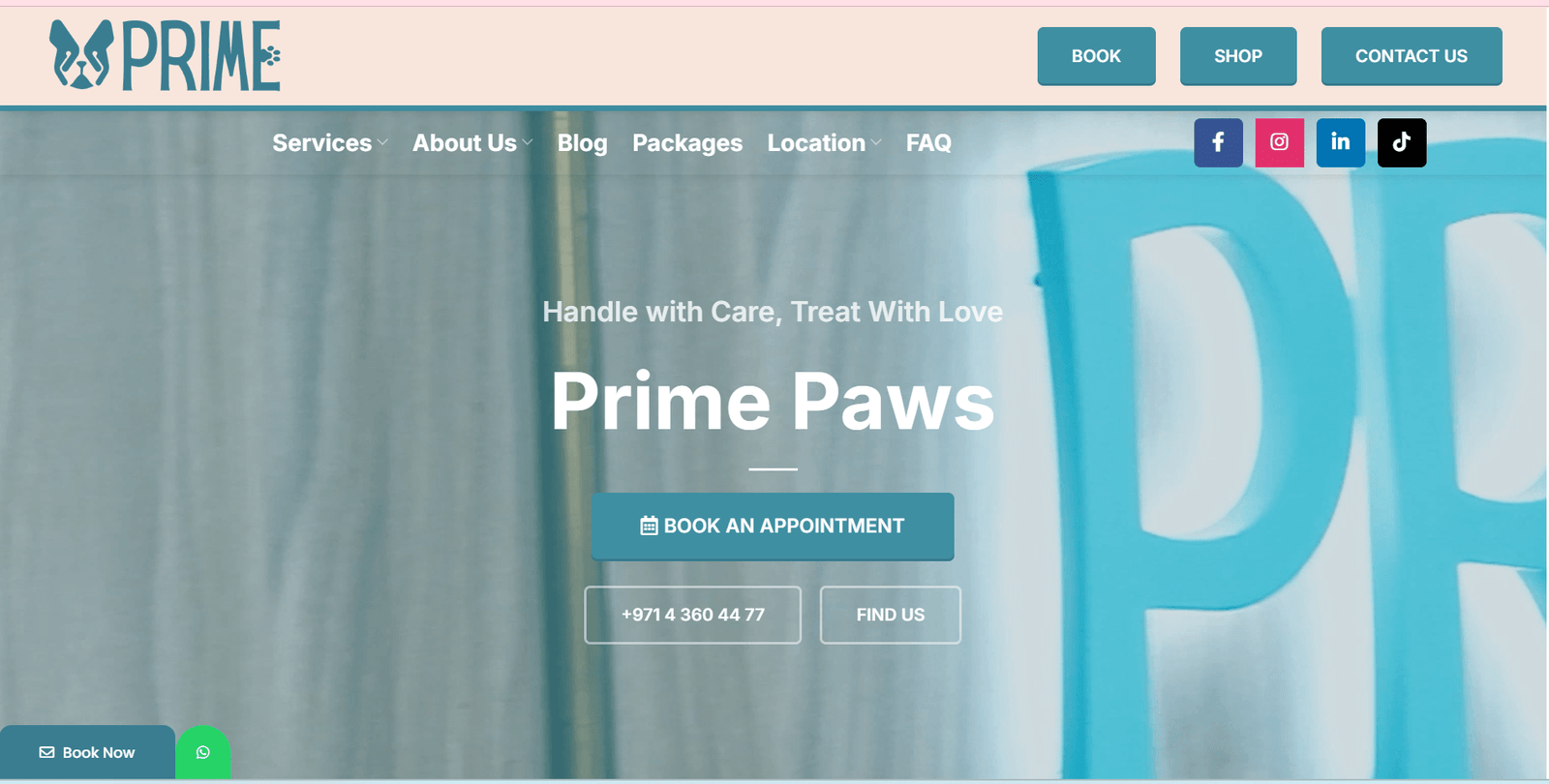 Best SEO Agency in Egypt